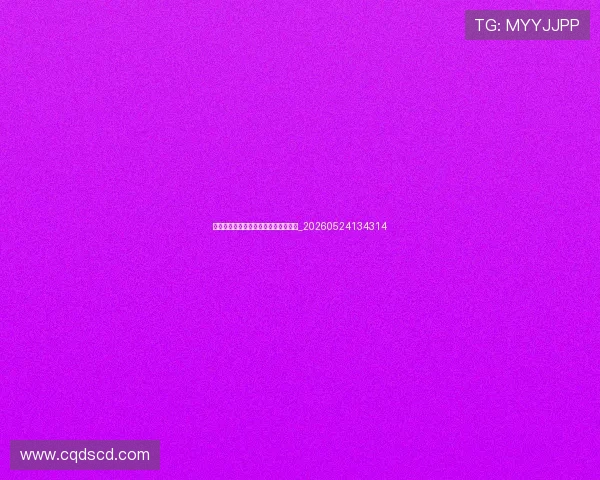 中国女排精神:激励一代人的拼搏故事_20260524134314