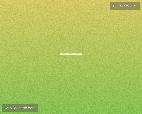 法甲年轻新星盘点：未来足坛的超级巨星